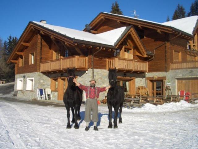 Agriturismo Chalet Caribona Villa Valdisotto Exteriör bild